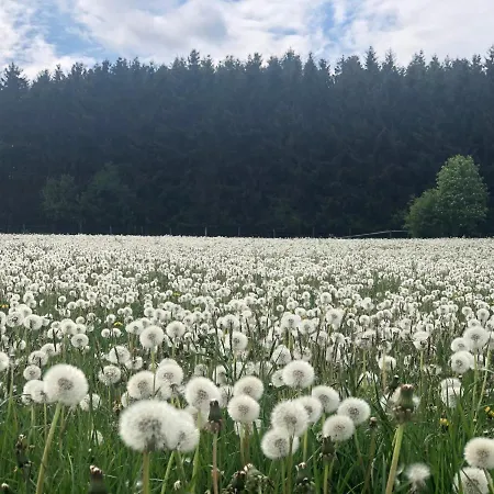 Eifel Charlotte Vakantiehuis Dahlem (Euskirchen)