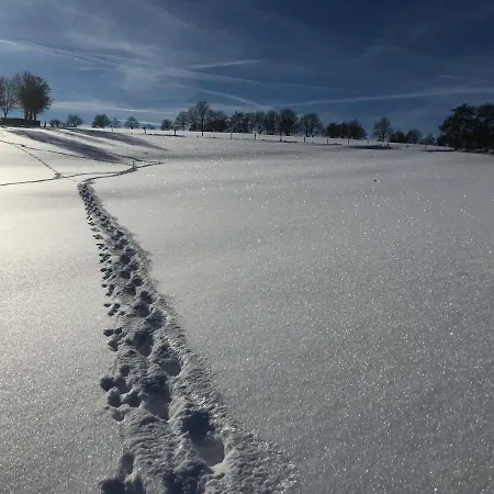 Eifel Charlotte 펜션