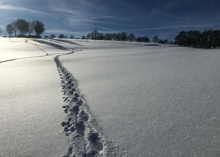 Eifel Charlotte Feriehus
